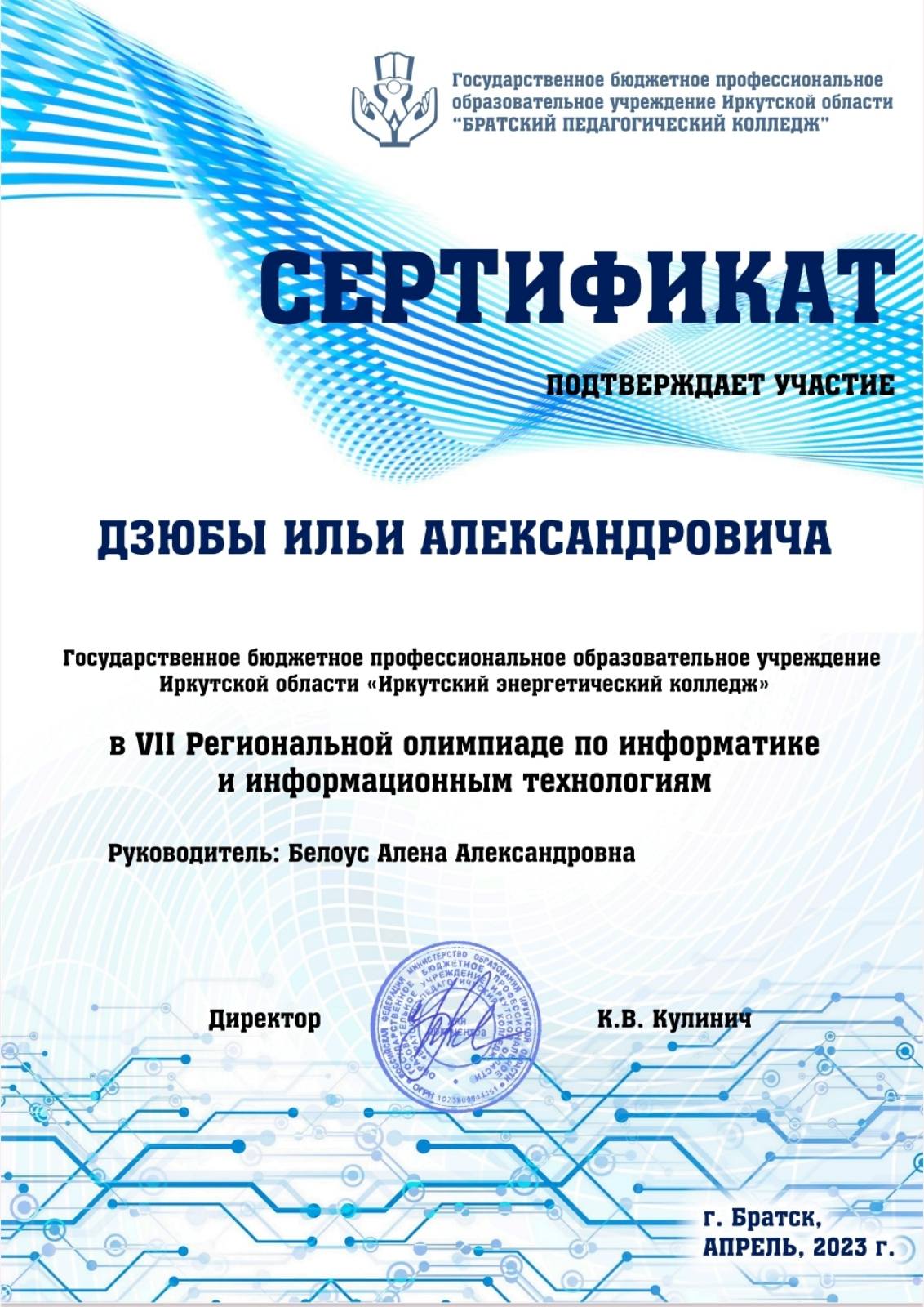 VII региональная олимпиада по информатике и информационным технологиям 2023