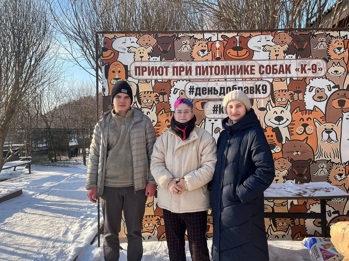 Помоги пушистому другу